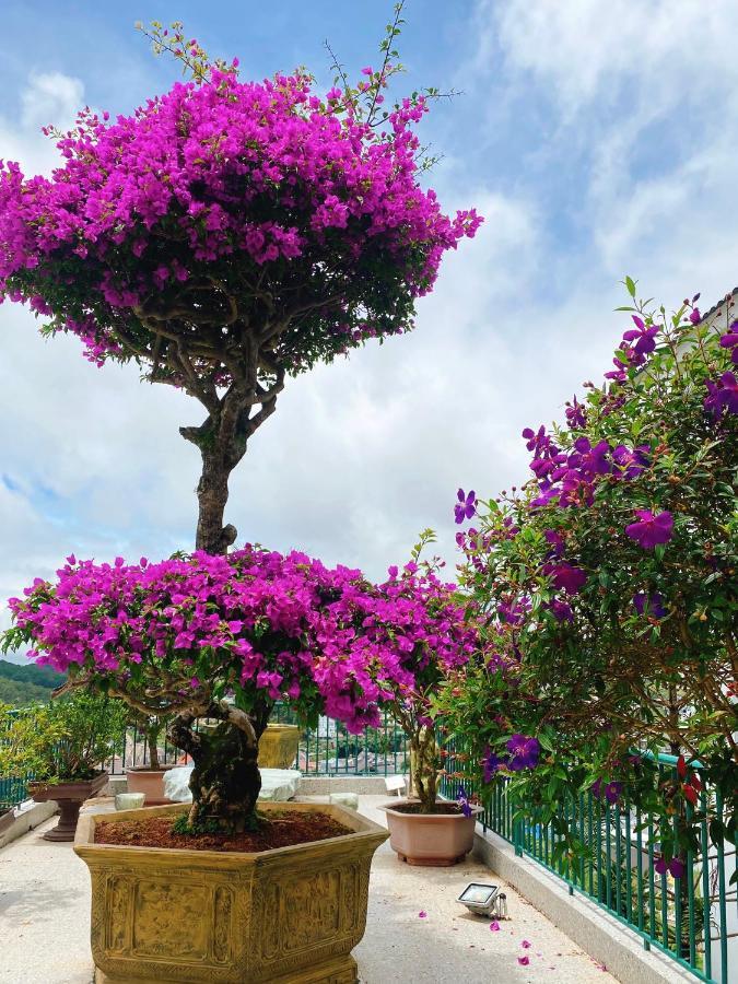 Nang Mai Homestay ดาลัด ภายนอก รูปภาพ