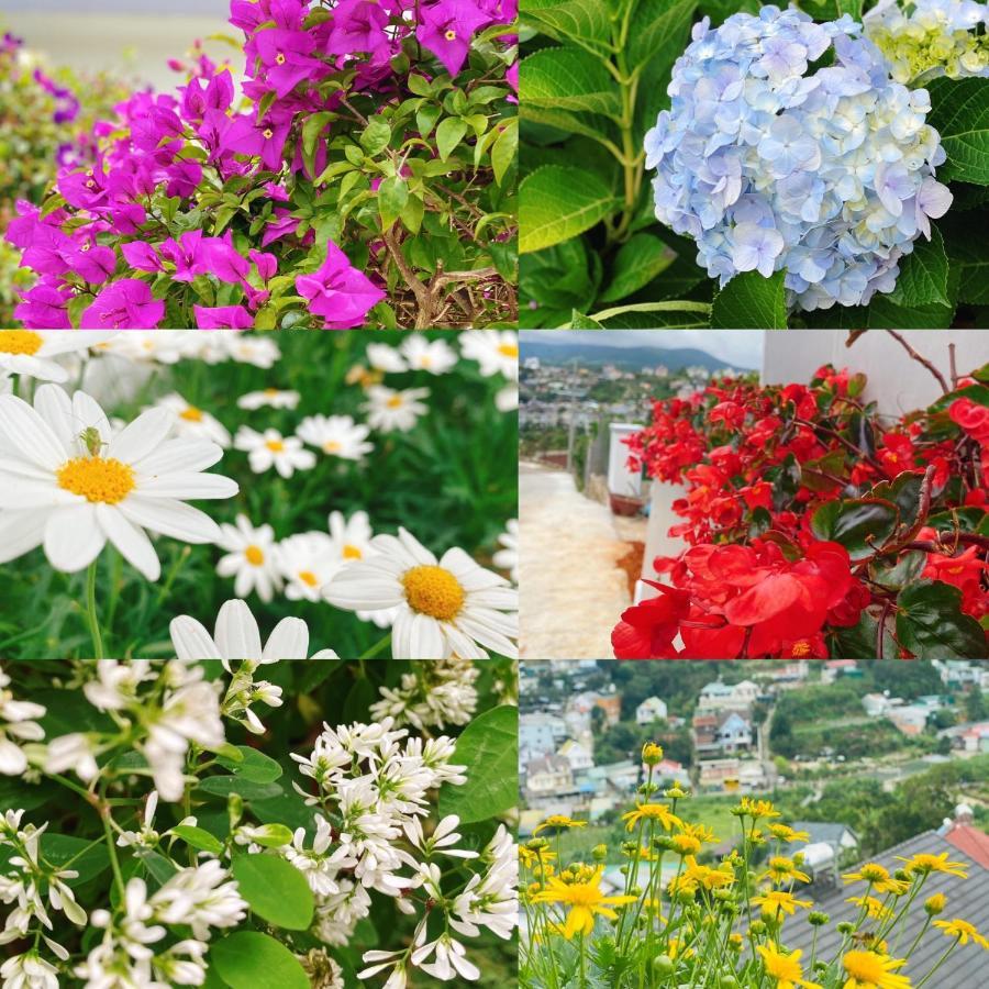 Nang Mai Homestay ดาลัด ภายนอก รูปภาพ
